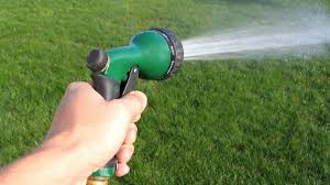 Watering grass seed is similar to regular lawns, but these tips should help your grass seed flourish into a healthy yard. How To Water Lawn With A Hose How Long Take The Ocean