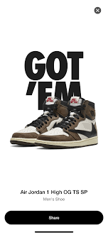 Got Em Travis Scott X Air Jordan 1 Cactus Jack Holtthegreat