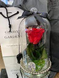 Check spelling or type a new query. Medium Classic Forever Rose Dome Buy Online Or Call 01204 699333