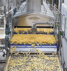 Questions & answers on food processing machine. Custom Industrial Food Processing Equipment