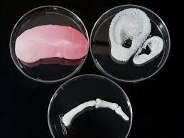 3d Printed Organs From Regenerative Living Cells Regenerative Medicine Human Tissue 3d Printing Technology