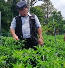 Bhd., sistem itu berupaya memudahkan operasi penanaman yang boleh dikendalikan dimana sahaja tanpa mengira waktu dan. Anim Agro Technology Usahawan B40 Cili Centil Di Muar