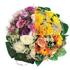 We did not find results for: A Seasonal Bouquet Every Month A Seasonal Bouquet Every Month Delivery In Germany Regionsflorist