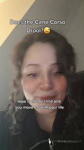 #canecorso #nephilimcanecorso #dogmom #guarddog #canecorsoitaliano  #canecorsopuppies #canecorsolifestyle #dogmomaf #mastiffsoftiktok  #mycanecorso #canecorso_family #bluecanecorso #corsofans
