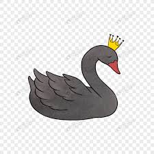 Black Swan Png Image Picture Free Download 401726733 Lovepik Com Black swan by punkypeggy on deviantart. black swan png image picture free