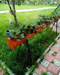 Erdbeeren Im Rohr Pflanzen Bauanleitung Fur Ein Erdbeerrohr Ramona Horstmann Bauanleitung Ein Erdbeeren Erdbeer Garden Types Plants Strawberry Plants
