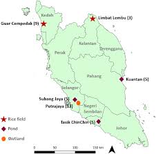 Yayasan kelantan darulnaim tingkat 5 kompleks yakin jalan gajah mati 15000 kota bharu kelantan malaysia tel. The Efficiency Of Universal Mitochondrial Dna Barcodes For Species Discrimination Of Pomacea Canaliculata And Pomacea Maculata Peerj