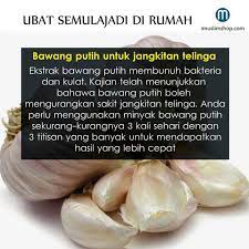 Jika dibiarkan sakit telinga bisa mengganggu aktivitas keseharian. Petua Berkesan Rawat Sakit Telinga Dengan Bawang Putih Jimat Mudah Kartel Dakwah