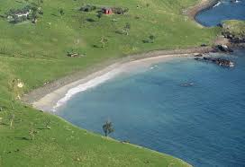 Pin By Cristian Chiriac On Chatham Islands New Zealand Island Travel Chatham Islands Island