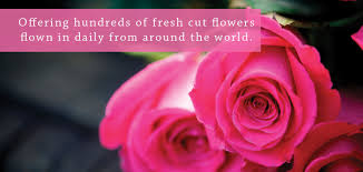 Check spelling or type a new query. Nj And Nyc Wholesale Flowers And Garden Center Metropolitan Wholesale