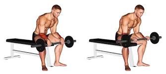 Die beine werden ausgestreckt und die zehen aufgestellt, sodass rücken, po und beine eine gerade linie bilden. Unterarm Trainieren Ohne Gerate Top 5 Bilder Videos