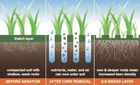 Phones & accessories pottery, glass services sporting goods stamps tickets, travel toys, hobbies vehicle parts & accessories video games & consoles lots more. Lawn Coring Perth Turf Aeration Perth Wa