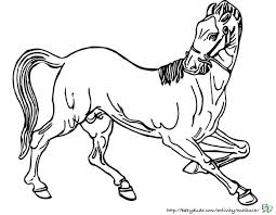 Pferde sind sehr beliebte tiere und das ausmalen macht auch dann spaß, wenn das pferd, oder pony, nicht. Pferdebilder Ausmalen Pferdekopfe Ausmalbilder Babyduda Malbuch