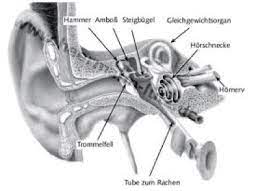 Schwindel Prof Dr Andreas Hufnagel