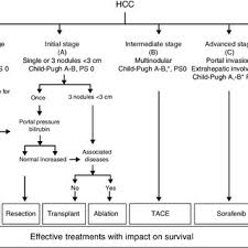 It helps you digest your food and how serious liver cancer is depends on where it is in the liver, how big it is, if it has spread, if it's primary or secondary and your general health. Barcelona Clinic Liver Cancer Bclc Staging System Bsc Best Download Scientific Diagram