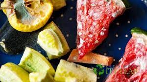 It is not to say that bacterial are not important. Can You Put Moldy Food In Compost Or Worm Bin