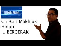 Ciri Ciri Makhluk Hidup Bergerak Youtube Ciri Ipa