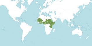 Image result for Feretia