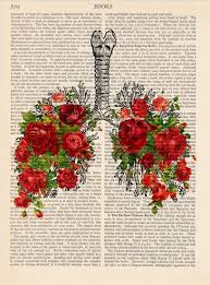 Pin On Anatomy