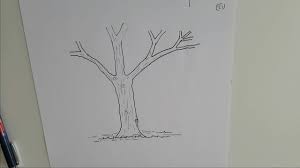 Zeichnen leicht gemacht ebook acquire connect on this article or you would referred to the able enlistment shape after the free registration you will be able to download the book in 4 format. 018 Wir Zeichnen Baume Youtube