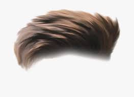 Men Hair Png Photo Hair Png Hd Boy Transparent Png Kindpng Download latest hair png at this web page. men hair png photo hair png hd boy