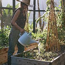 Check spelling or type a new query. Contact Edible Gardens La