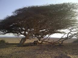 المناظر الطبيعية في إقليم أبخ | Archiqoo