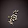 Story image for golden south sea pearl from Vogue.co.uk