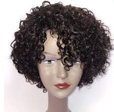 Amazon.com : Brazilian Kinky Curly 10 Inch Human Hair Wigs for Black Women 