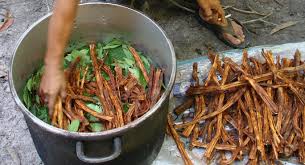 Ce Este Ayahuasca Drogul Pentru Care A Fost Arestat Fostul șef Al Doi și Un Sfert Evenimentul Zilei