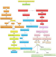 Un organizador gráfico es una representación visual de conocimientos que presenta información rescatando aspectos importantes de un concepto o materia dentro de un esquema usando etiquetas. Organizador Grafico Yaniz Rodriguez Comunidad De Aprendizaje
