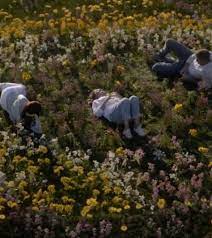 A drama centered on the personal and professional lives of five surgical interns and their supervisors. Field Of Dreams Grey S Anatomy Season 17 Episode 10 Tv Fanatic