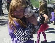 Petting zoo party if you are looking for a petting zoo birthday party experience in dallas texas, you are in the right place. Petting Zoo Dallas Texas