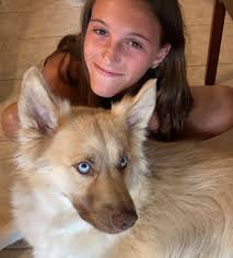 Thanks for the add! This is my golden husky with my granddaughter. He is  spoiled rotten