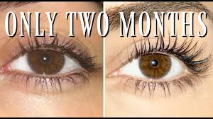 We did not find results for: Does R F Lash Boost Really Work Youtube