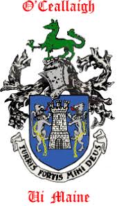 The kelly klan loved the kelly flag and irish flag, which flew from the peaks of our festival tent. Our Constitution Kelly Clans