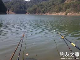 Explore tweets of 딸감 갤러리 @gtm3xuujxxc8edh on twitter. åœ¨æ°´åº«é‡£é­šç‚ºä»€éº¼è¦é‡£æ·±æ°´ æ¯æ—¥é ­æ¢