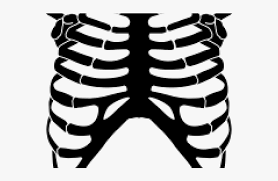 Flat rib cage with plants png image. Rib Cage Png Transparent Images Skeleton Rib Cage Clipart Png Download Kindpng