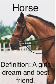 Horseriding Horserider Equine Who S Your Best Friend Comment Down Below Mine It S My Horse Funnyhor In 2020 Horse Riding Quotes Horse Quotes Funny Funny Horses