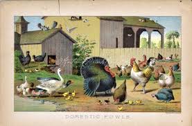 Pin On Olden Books And Antiquities