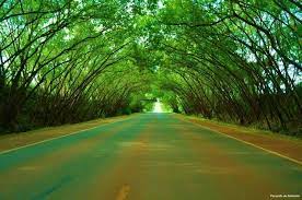 Address santa rita map by googlemaps engine: Tunel Verde Santa Rita Paraguay Filme Coco