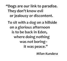 Quotes on Pinterest | Dorian Gray, Jane Eyre and Milan via Relatably.com