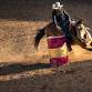 The NILE Stock Show and Rodeo
