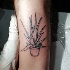 Aquaphor or a&d ointment for tattoos. Aquaphor For Tattoos Everything You Need To Know Authoritytattoo