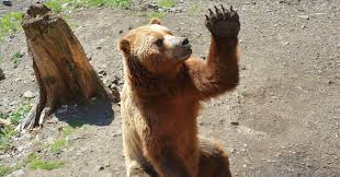 44歳の誕生日に初めてタトゥーを彫りました。｜Morena