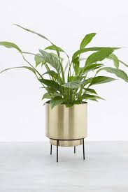Grosser Blumentopf Adelphi Grands Pots De Fleurs Deco Idee Jardinage