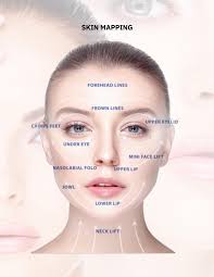 Fibroblast Plasma SPMU Aesthetics Professionals Only International