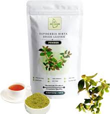 Image result for Euphorbia hirta