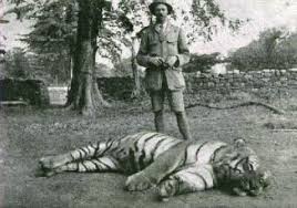 19 Tiger hunting in india, India Images ...