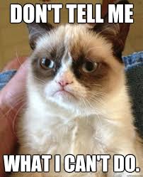 Don T Tell Me What I Can T Do Grumpy Cat Quickmeme